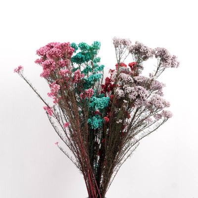 China High Quality Natural Mini Head Millet Flower Preserved Decoration Beautiful Small Rice Flower For Home Decor for sale