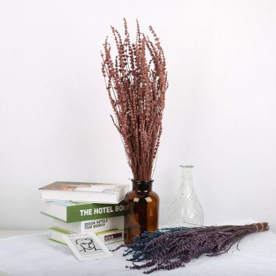 China Popular Decoration Articles Lavender Dried Decoration Flowers Preserved Lavender for sale