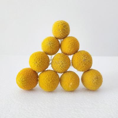 China INS Eco-Friendly Most Popular Granny Chic Dried Golden Ball Bouquet For Nordic Home Decoration for sale