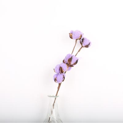 China Decoration Yunnan hot selling nature dried cotton flowers wholesale for bouquet decoration for sale