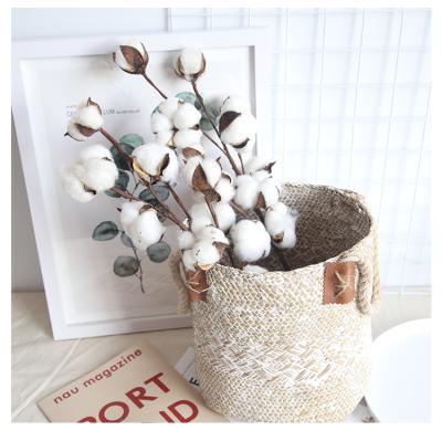 China Wholesale New Healthy Life Style Cotton Flower 9 Heads Cotton Stem Tending Flower Long As Dry Flowers for sale