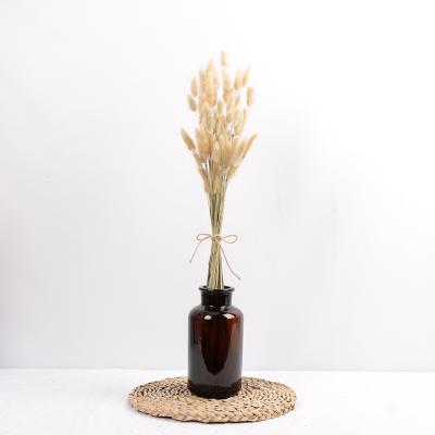 China Eco-Friendly Most Popular 100 Pcs Ins Dried Brown Bunny Tail Grass For Home Decoration And Wedding for sale