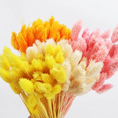 China 2021 Best Selling Beautiful Dry Flower Colorful Gem Grass Jewelry Grass For Home Decoration for sale