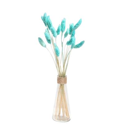 China Colorful Wholesale Beautiful Colorful Real Flower Preserved Gem Grass For Bedroom Decoration for sale