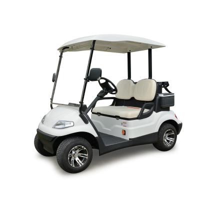 China 2 Passenger Electric Mini Golf Car Service Price (LT-A627.2) 2400*1200*1800 for sale