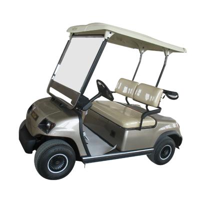 China Sale 2 Seats Electric Beach Golf Cart L2380*W1200*H1850mm for sale