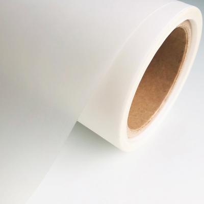 China Strong Ink Absorption Tinderala 30cm 33cm 60cm DTF Film Roll Hear Transfer Film DTF Printer Pet Film for sale