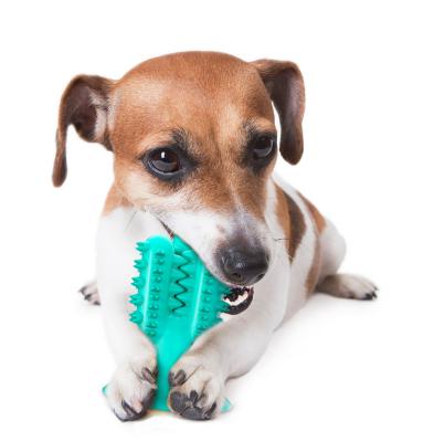 China Viable Indestructible Rubber Squeaky Toothbrush Pet Dental Care Dog Aggressive Chew Toys Dog Tough Toy for sale