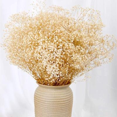 China Natural Touch 17 Inch Ivory White Dry Flowers Dried Babys Breath Flowers Bouquet Natural Gypsophila Branches for Wedding for sale