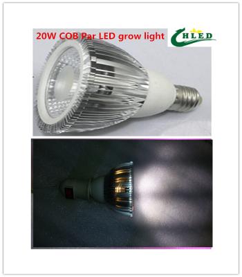 China 20w cob Par led plant grow lights Wite- full spectrum  4000k-5000K for sale