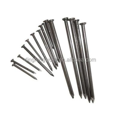 China Flat ISO Certified Q235 2.5*50mm Soft Flat Head Dull Point Common Shank Nails for sale