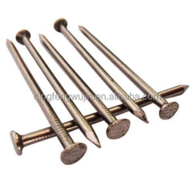 China Flat ISO Certified Q235 2.5*45mm Soft Shank Flat Head Common Nails For Wood Products for sale