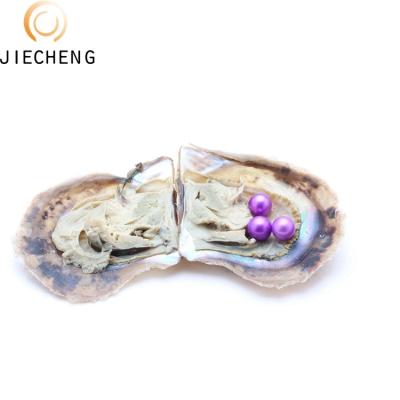 China Jewelry Making Party Gift Triplets Vacuum Packing 6-7mm Rainbow Color Akoya Saltwater Wish Pearl Round Oyster Shell Freshwater Wholesale for sale