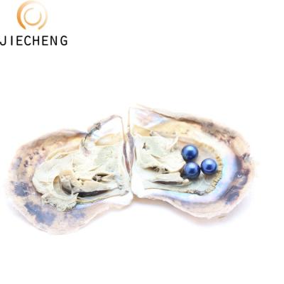 China Jewelry Making Top Quality 6-8mm Vacuum Packing Triplets Color Wholesale Culture Round Akoya Oyster With Pearl Necklace for sale