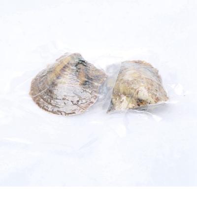 China Jewelry Making 6-8mm Wholesale White Cultured Pearl Oyster Saltwater Oyster Pearls for sale