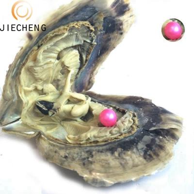 China Jewelry making 2018 hot sale akoya natural saltwater pearl oysters on offer sale for sale