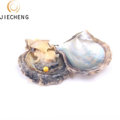 China Jewelry making 7-8mm saltwater shell pearls wholesale pearl oysters with pearls for sale