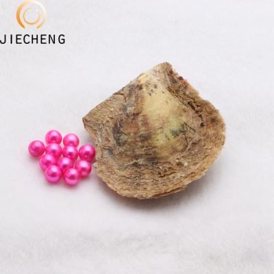 China Jewelry making most popular wholesale loose round 6-7mm vacuum packed oyster farming akoya pearl oyster with pearl for sale