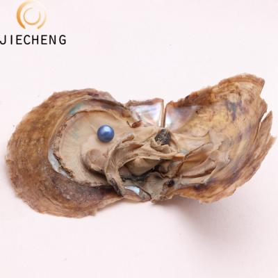 China Jewelry Making 2018 Most Popular Vacuum Packed Saltwater Oyster Pearl With 6-8mm AAA Natural Pearl Akoya Oyster For DIY Gift for sale