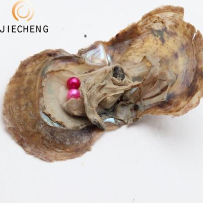 China Wholesale Cultured Pearl Jewelry Making 6-7mm Vacuum Packed 2 Color Mix Akoya Pearl Oysters Shell Volume With Twins for sale