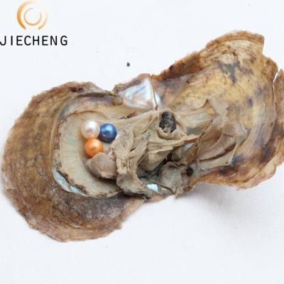 China Jewelry Making 2018 Mixed Color DIY 6-7mm Round Vacuum Packed Akoya Triplets Wholesale Pearl Oyster With Akoya Pearls In Oyster Shell for sale