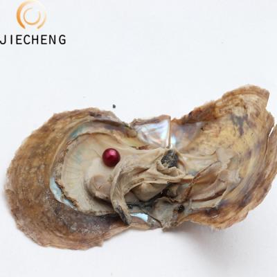 China Jewelry Making Christmas Jewelry 6-7mm Pearl Oyster Packing Saltwater Akoya Oyster AAA With Round Red Natural Cultured Pearls for sale