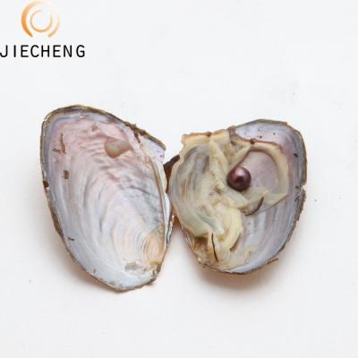 China Jewelry Making Wholesale Love Wish Pearl Party Gift 6-8mm Series Vacuum Packed Freshwater Cultured Dyed Pearl Oyster for sale