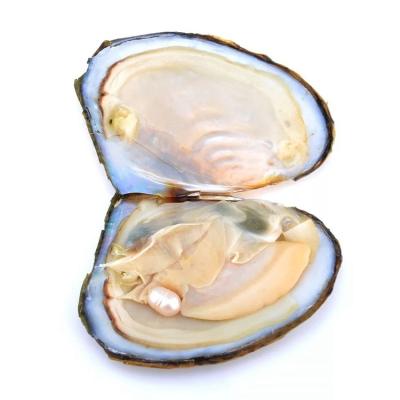 China Jewelry Making Love Wish Pearl Party Gift 6-7mm Vacuum Packed Quality Loose Freshwater Rice Cultured Freshwater Pearl Oyster for sale