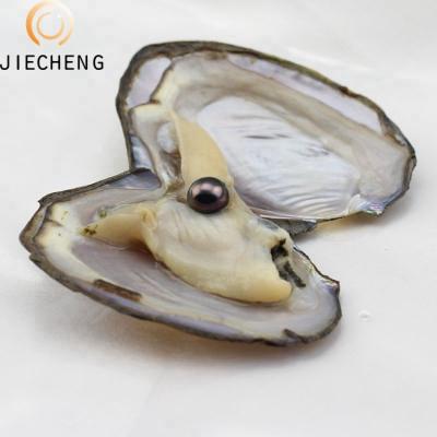 China Jewelry Making 7-8mm Mix Color Rice Shape Love Pearl Oyster Farm Wholesale Oysters With Shell Pearls for sale