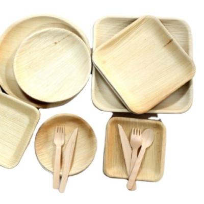 China Disposable Eco Friendly Stocked Biodegradable wooden handle spoon and fork birch wood producer wooden knife fork wholesale for sale