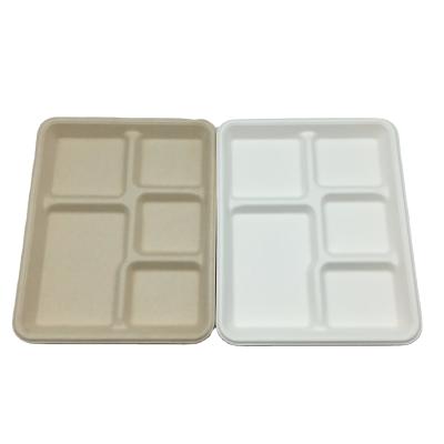 China 5-Compartment Compostable Disposable Biodegradable Food Tray for sale