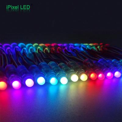 China Full color 5V LANDSCAPE 12mm pixel led pixel light ws2811/1903 christmas lights for sale