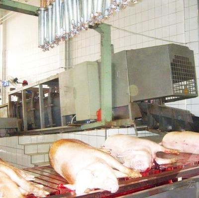 China Turnkey Pig Solutions For Pig Slaughterhouse With Complete Pig Slaughtering Equipment For Slaughter Pigs for sale