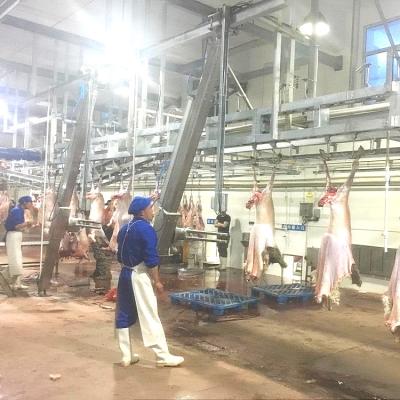 China Experienced Manufacturer Traditional Sheep Slaughtering Equipment For Slaughterhouse Home for sale