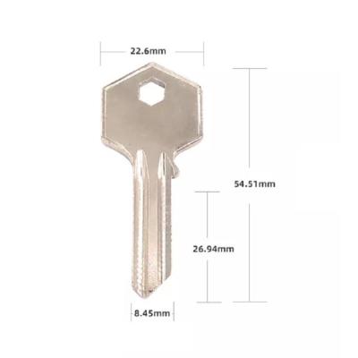 China Beveiligde verzendwijzen DHL UPS EMS TNT Fedex Custom Logo Door Lock Key Blank Te koop