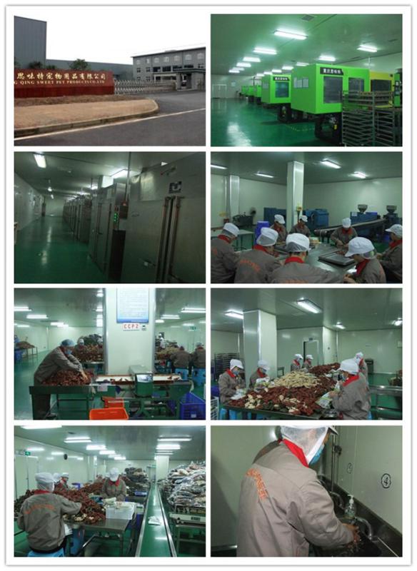 Verified China supplier - Chongqing Sweet Pet Products Co., Ltd.