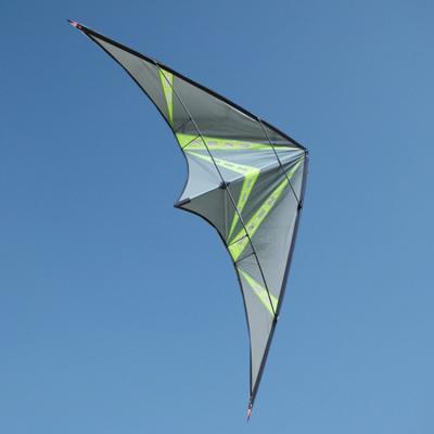 China New Design Polyester GRAY Sport Kite FOR FLY for sale