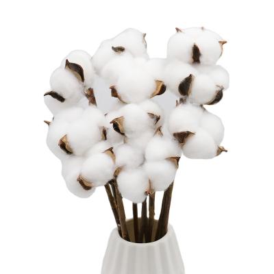 China Any combination Factory Bulk Sale Christmas Decoration Flower Dried Cotton Flower For Flower Arrangement for sale