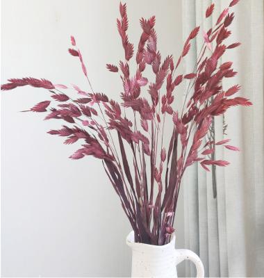 China Any combination Natural Primary Color Dried Flowers Wheat Oats Bouquet Stems Avena Bundle For Home Vase Decor for sale