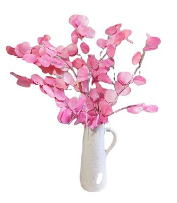 China Any combination New immortal flower Eucalyptus leaf dry flower bouquet Colorful apple leaf decorative flower for sale