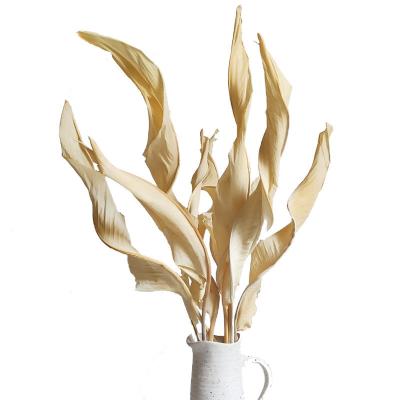 China Any combination Dried flower bouquet ins Nordic dried true flower white wedding decoration for sale