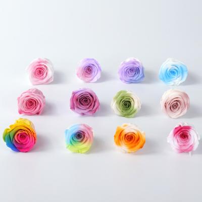 China Any combination Fresh A Grade Best Quality China Real Natural Eternal Forever Immortal Flower Head Preserved Roses for sale