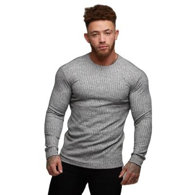 China Autumn And Winter New Sports Anti-wrinkle Long Sleeve Tops Men Very Handsome Fitness T-shirt for sale