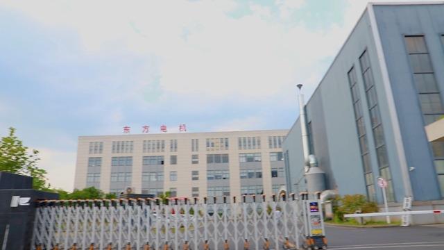 Verified China supplier - Shengzhou City Dongfang Motor Co., Ltd.