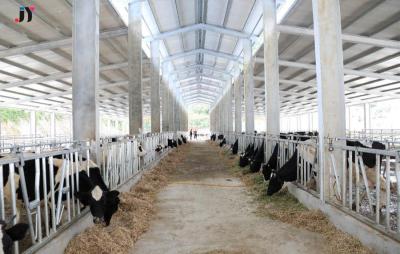 Chine Structure de cadre métallique en acier laminé à chaud maison de vache préfabriquée maison de volaille ferme à vendre