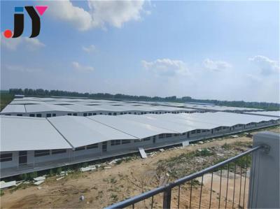 China 50m2 Steel Structural of Pig Cow Shed Poultry Shed Chicken Farm Layer Shed Drawing for sale