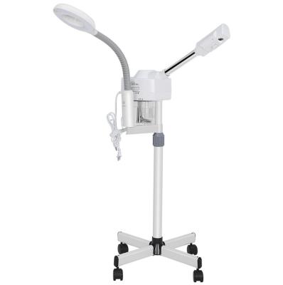 China Skin Rejuvenation Salon Use Hot And Cold Face Sprayer With Lamp Beauty Device for sale