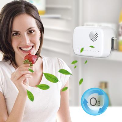 China Household Ozone Generator Fridge Freezer Organic Rechargeable Refrigerator Cool Air Keeping Sterilizer Sterilizer Purify Deodorant for sale