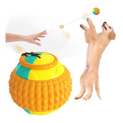 China Unique Design Viable Hot Selling Product Popular Success Dog Toys Chew Hard Durable Dog Toys for sale