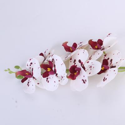 China Wedding Beautiful Real Touch 7 Heads Artificial Orchid Flowers Decorative for sale